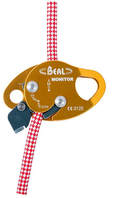 MONITOR